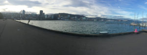 The Wellington waterfront in 2016