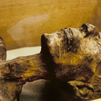 The Mummy of Rameses II