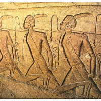 Egyptian-prisoners