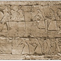 An offering of hands