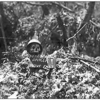 A Japanese skull used as a warning sign on the island of Peleliu