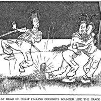 Frank Cooze "Kar-rash! At Dead Of Night Falling Coconuts Sounded Like The Crack Of Doom"