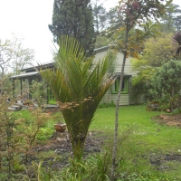 The house at Hepburn Creek today