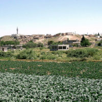 The town of Kadesh in Syria today (Photo by Perrill Jenkins)