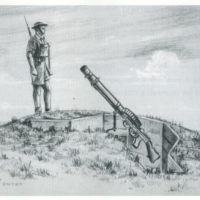 Air defences in Northland