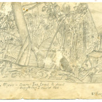 Major Robert Foreman: Pencil drawing from inside tent: 23/1/44
