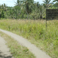 The road to Red Beach, landing site of Allied forces