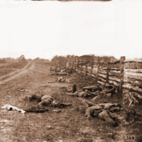 Alexander Gardner: "The Dead at Antietam"
