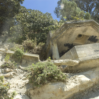 The searchlight post today