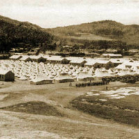 Trentham Military Camp, Wellington