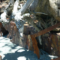 Vegetation growing over war junk on Bonegi Beach