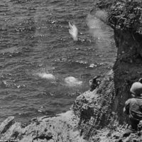 Civilians on Saipan leaping to their deaths